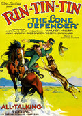 Lone Defender - Lone Defender - DVD