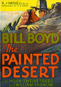 Painted Desert - Painted Desert - DVD