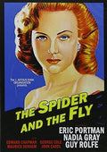 Spider & The Fly - Spider & The Fly - DVD
