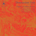 Negative Feedback Resistor Vinyl Record