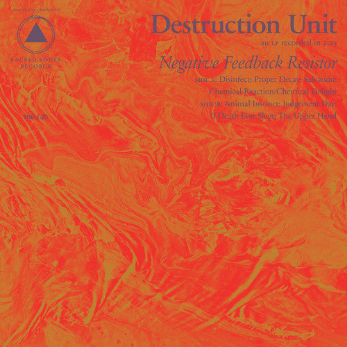 Negative Feedback Resistor Vinyl Record