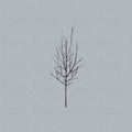 Low - Ones & Sixes - Music CD