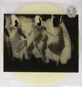 Finger,benjamin - Amorosa Sensitiva - Vinyl Record