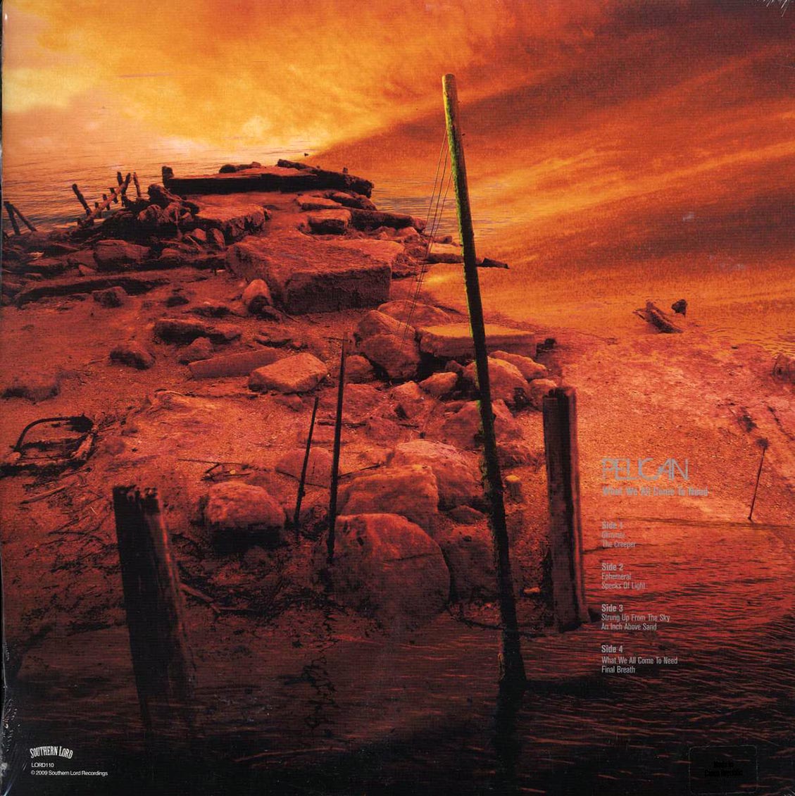 Pelican - What We All Come To Need + Ephemeral (RSD 2025) (ltd. ed.) (3xLP) (grey vinyl) Vinyl Record