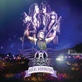 Aerosmith - Rocks Donington 2014 - DVD