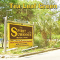 Tea Leaf Green - Live At Wanee 2015 - Music CD