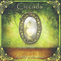 Ciccada - Child In The Mirror - Music CD
