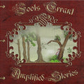 Fools Errant - Amplified Stories - Music CD