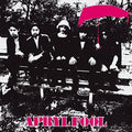 Apryl Fool - Apryl Fool - Vinyl Record
