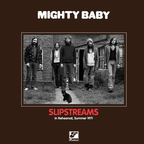 Mighty Baby - Slipstreams - Vinyl Record
