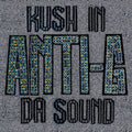 Anti-g - Kush In Da Sound - Vinyl Record