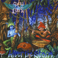 Skylark - After The Storm - Music CD