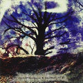 Labirinto Di Specchi - Hanblecheya - Music CD