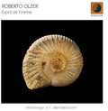 Olzer,roberto - Esprit De Finesse - Music CD