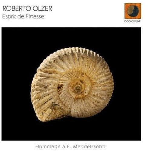 Olzer,roberto - Esprit De Finesse - Music CD