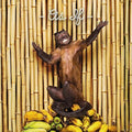 !!! (chk Chk Chk) - As If - Music CD