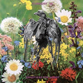 Current 93 - Swastikas For Noddy / Crooked Crosses For The Nod - Vinyl Record
