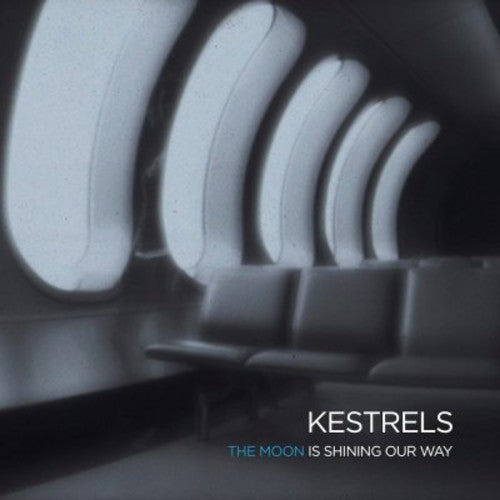 Kestrels - Moon Is Shining Our Way - Vinyl Record