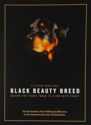 Black Beauty Breed - Black Beauty Breed - DVD