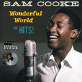 Sam Cooke - Wonderful World: The Hits (20 tracks) (ltd. ed.) (180g) (clear vinyl) Vinyl Record