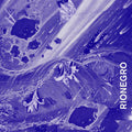 Rionegro - Rionegro - Vinyl Record