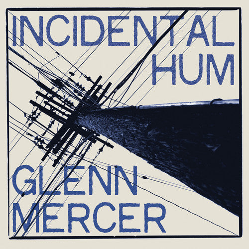 Incidental Hum Vinyl Record