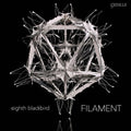 Dessner / Eighth Blackbird / Dessner / Muhly - Filament - Music CD