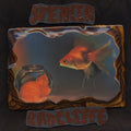 Radcliffe,spencer - Looking In - Music CD