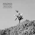Chauveau,sylvain - Down To The Bone: Acoustic Tribute To Depeche Mode - Music CD