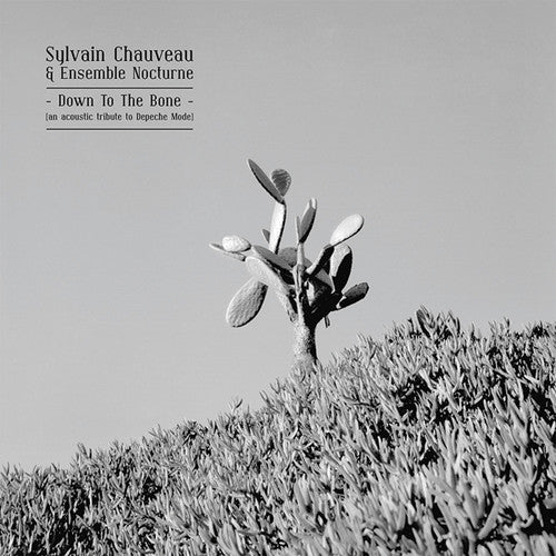 Chauveau,sylvain - Down To The Bone: Acoustic Tribute To Depeche Mode - Music CD