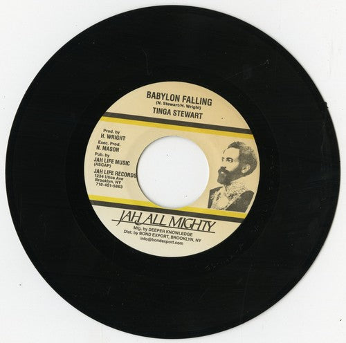 Stewart,tinga - Babylon Falling - Vinyl Record