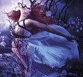 Stream Of Passion - War Of Our Own - Music CD
