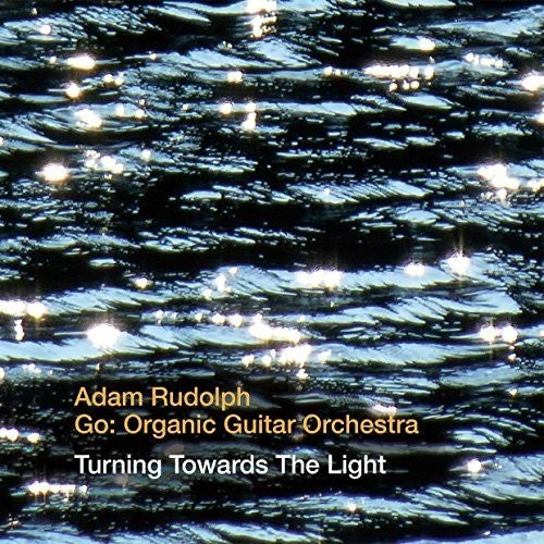 Rudolph,adam / Go: Organic Guitar Orchestra - Turning Towards The Light - Music CD