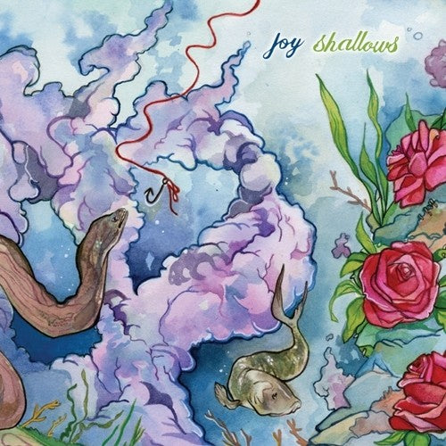 Joy - Shallows - Music CD