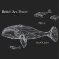 Sea of Brass Music CD