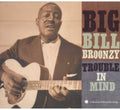 Broonzy,big Bill - Trouble In Mind - Music CD