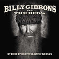 Gibbons,billy & The Bfg's - Perfectamundo - Music CD