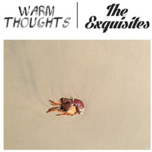 Warm Thoughts / Exquisites - Split - Vinyl Record