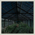 Foxing - Dealer - Vinyl Record