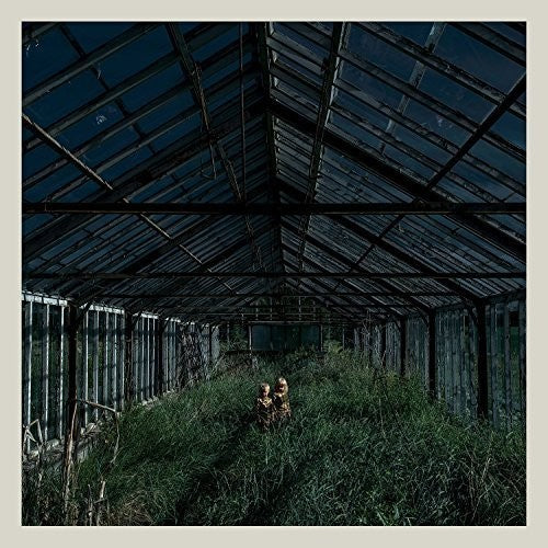 Foxing - Dealer - Vinyl Record