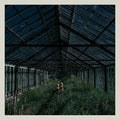 Foxing - Dealer - Music CD