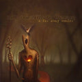 A Far Away Wonder [LP] Vinyl Record