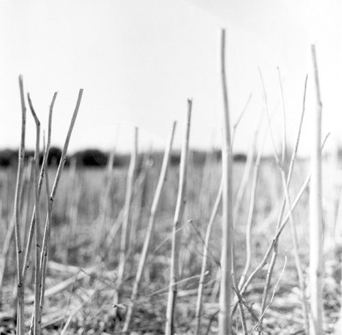 Recondite - On Acid - Vinyl Record