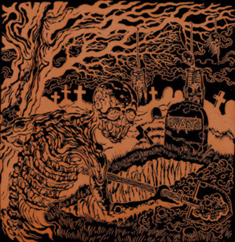 Wan - Dig Up The Past - Vinyl Record