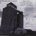 Federighi,luciano / Lombardi,michela - By The Lonely Lights Of The Blues - Music CD
