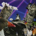 Navet Confit - Lol - Music CD
