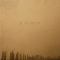 Mute Forest - Deforestation - Vinyl Record