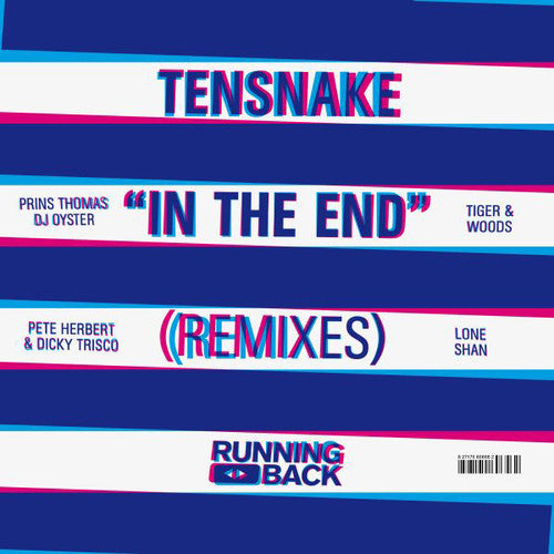 Tensnake - In The End - Vinyl Record