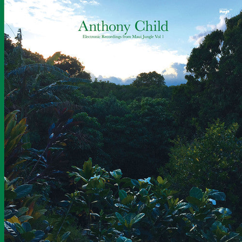 Child,anthony - Electronic Recordings From Maui Jungle 1 - Vinyl Record