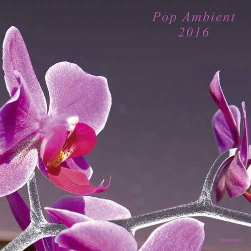 Pop Ambient 2016 / Various - Pop Ambient 2016 / Various - Music CD